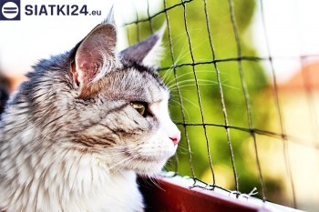 Siatki Biała Podlaska - Siatka na balkony dla kota i zabezpieczenie dzieci dla terenów Białej Podlaskiej