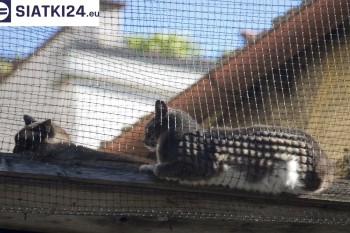 Siatki Biała Podlaska - Siatka na balkony dla kota i zabezpieczenie dzieci dla terenów Białej Podlaskiej